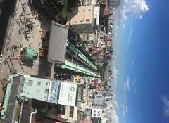 Kaminarimon gate in Tokyo from above