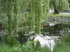 Former settling pond for the hydroelectric power plant of the former Kuhlmann Söhne scythe smithy in Leverkusen-Schlebusch