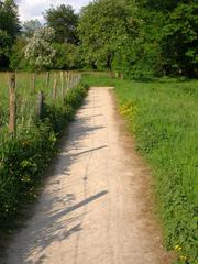 Newly constructed connecting path to the old weir