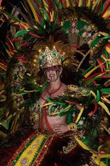 lady wearing a colorful feathered carnival costume