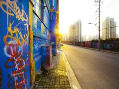 colorful graffiti art on a building wall in M50 Creative Park, Shanghai