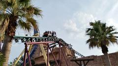 Cobra's Curse roller coaster at Busch Gardens Tampa Bay