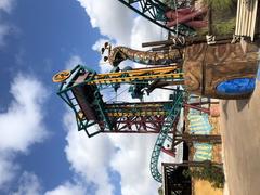 Cobra's Curse roller coaster elevator lift at Busch Gardens Tampa