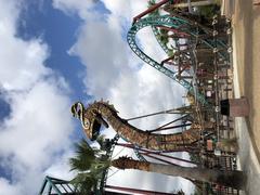 Busch Gardens Tampa Cobra's Curse roller coaster elevator lift and layout