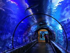 Shark Reef Aquarium at Mandalay Bay underwater tunnel