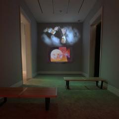 video installation in museum viewing room