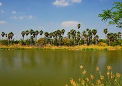 Bentson-Rio Grande Valley State Park