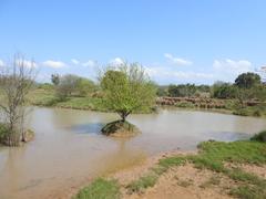 Nature Trail in Sukhna Wildlife Sanctuary near Sukhna Lake, Chandigarh