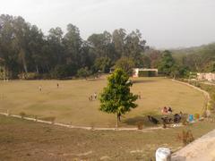 Nepli Forest's Park with lush greenery and towering trees