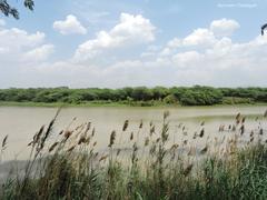 Sukhna Wildlife Sanctuary view from Sukhna Lake in Chandigarh, India