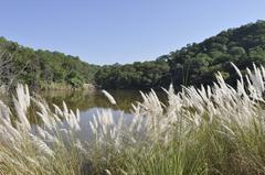 View of forests in Chandigarh with hilly landscape