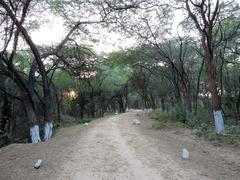 Inner view of Sukhna Wildlife Sanctuary, Chandigarh, India