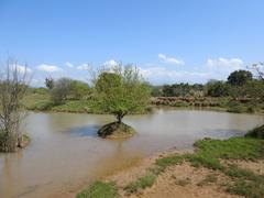 Landscape in Nature Trail at Sukhna Wildlife Sanctuary