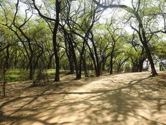 nature trail at Sukhna Wildlife Sanctuary near Sukhna Lake, Chandigarh