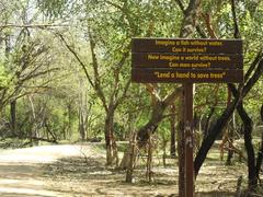 Nature Trail at Sukhna Wildlife Sanctuary near Sukhna Lake, Chandigarh