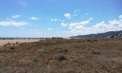 Platja de la Pineda beach in Castelldefels with dunes and Garraf massif in the background