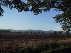 Dunmore Park burnt stubble field in the evening with the Ochil Hills as backdrop