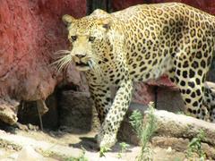 Focus sign at Indore Zoo