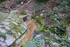 Nant Manant stream in Bois de la Bâtie forest in Geneva