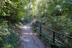 Along Nant Manant at Bois de la Bâtie in Geneva