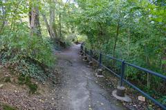 Scenic view along Nant Manant at Bois de la Bâtie in Geneva