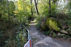 Along Nant Manant at Bois de la Bâtie in Genève