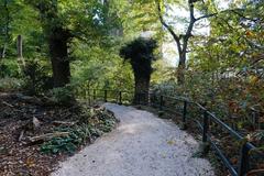 Path along Nant Manant in Bois de la Bâtie, Geneva