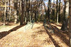 Bois de la Bâtie park with lush greenery