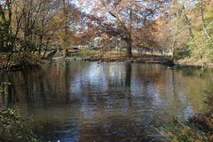 Bois de la Bâtie in Geneva