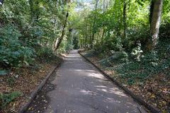 Bois de la Bâtie forest in Geneva