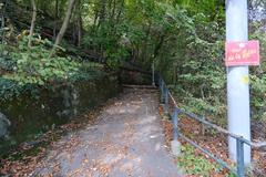 Bois de la Bâtie in Geneva, panoramic forest landscape