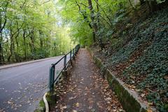 Bois de la Bâtie forest along Route des Péniches in Geneva