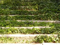 Jardines de Sabatini staircase in Madrid, Spain