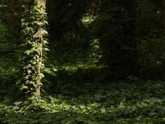 lush greenery at Jardines de Sabatini in Madrid