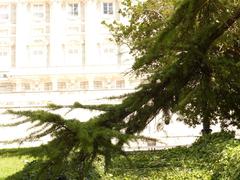 Jardines de Sabatini with branch and palace in Madrid, Spain