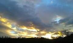 sunset at Castelli Romani Park vineyard