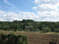 countryside of Grottaferrata with fields and trees under a clear sky