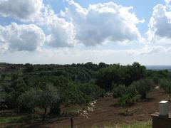 scenic view of a road with distant mountains in Grottaferrata, Italy