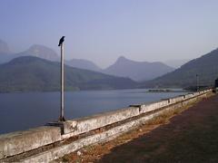 view from the top of Kanjirapuzha Dam