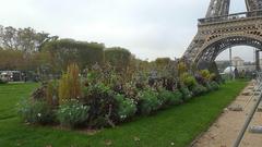 Eiffel Tower in Paris with scenic surroundings