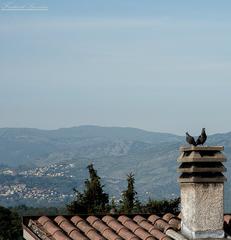 Panoramic view from rooftops