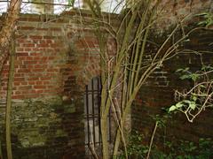 Courtyard trees and shrubs at Zwinger in Münster