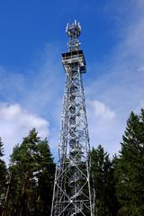 Rozhledna na panském vrchu in Drmoul, Český les