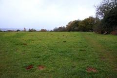 Brasenose Wood and Shotover Hill in Oxford