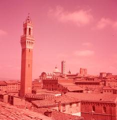 Siena urban view and architecture