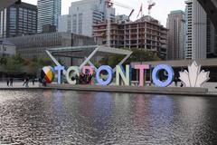 3D Toronto sign with UN International Decade for People of African Descent wrap