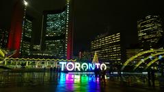 Christmas in Toronto 2015