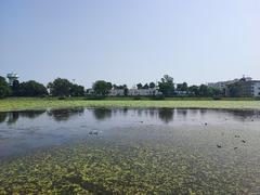 Jal Mandir at Pawapuri on water surrounded by greenery