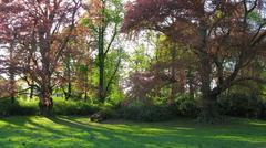 Jenischpark in Hamburg on a clear day