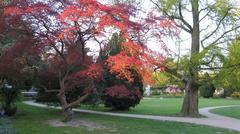 Scenic view of Jenischpark with lush greenery and trees during a sunny day